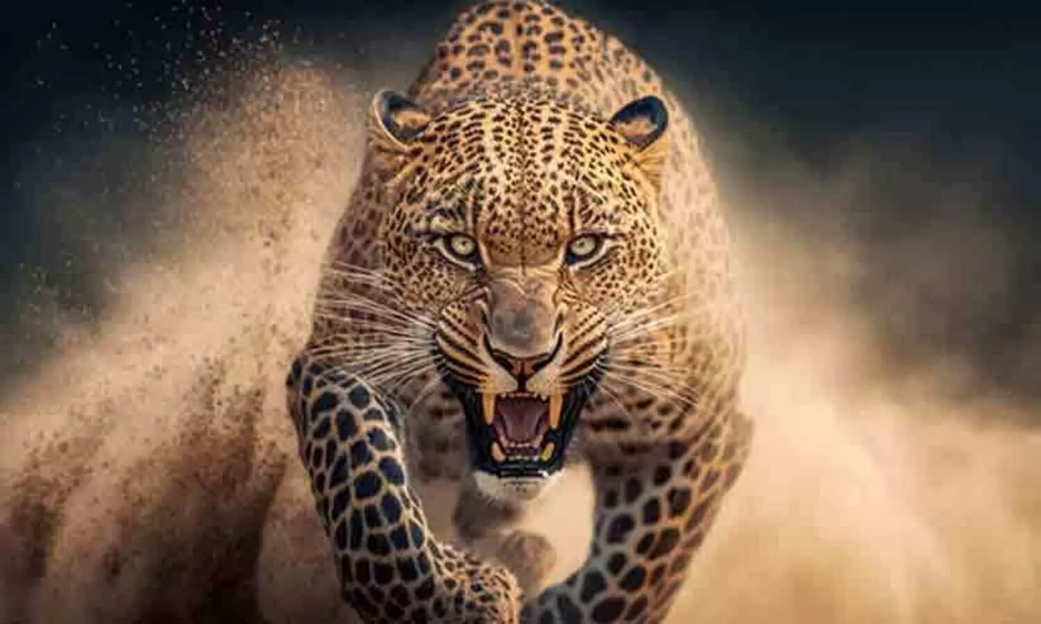 Representational image