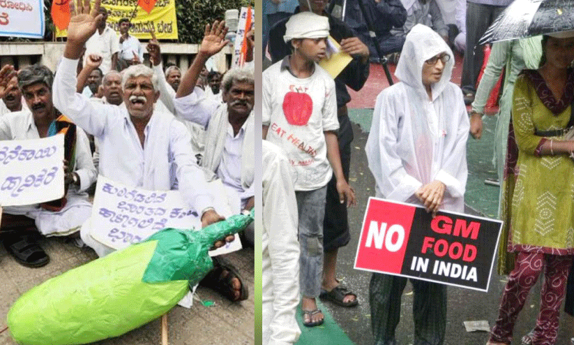 ജി.എം വിളകൾ; ദുരന്തത്തെ നട്ടുവളർത്തരുത്