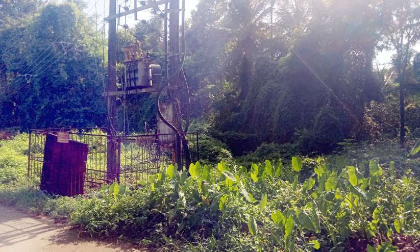 ക​ല​ക്ട​റേ​റ്റി​ലെ 33 കെ.​വി സ​ബ്‌ സ്റ്റേ​ഷ​ൻ; സ്ഥ​ലം വി​ട്ടുന​ൽ​കു​ന്ന കാ​ര്യ​ത്തി​ൽ തീ​രു​മാ​ന​മാ​യി​ല്ല