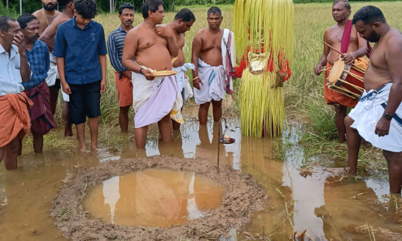 തെ​യ്യം വി​ത്തി​ട്ടു; വ​ട​ക്ക​ൻ കേ​ര​ള​ത്തി​ൽഇ​നി കൃ​ഷി​ക്കാ​ലം