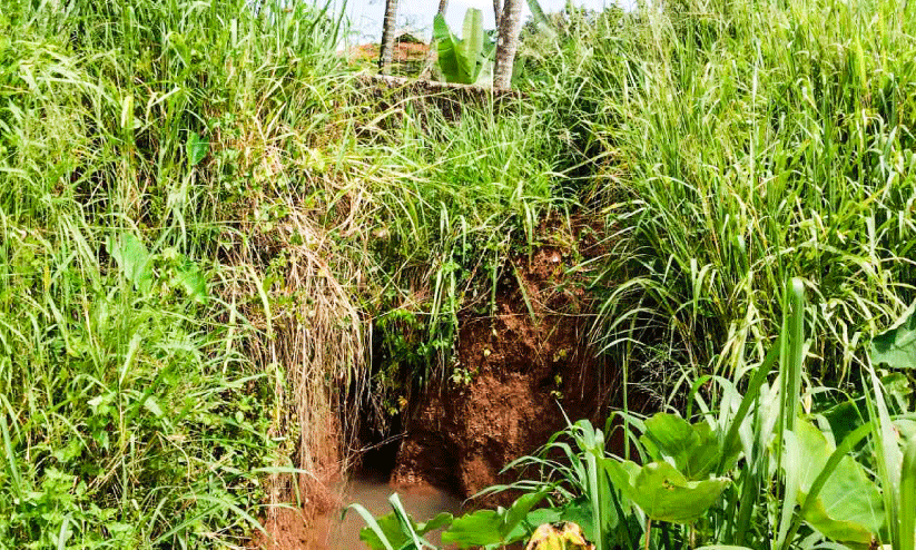 എ​ന്ന് കൃ​ഷി​യി​റ​ക്കാ​നാ​കും? ക​ർ​ഷ​ക​ർ കാ​ത്തി​രി​പ്പി​ൽ
