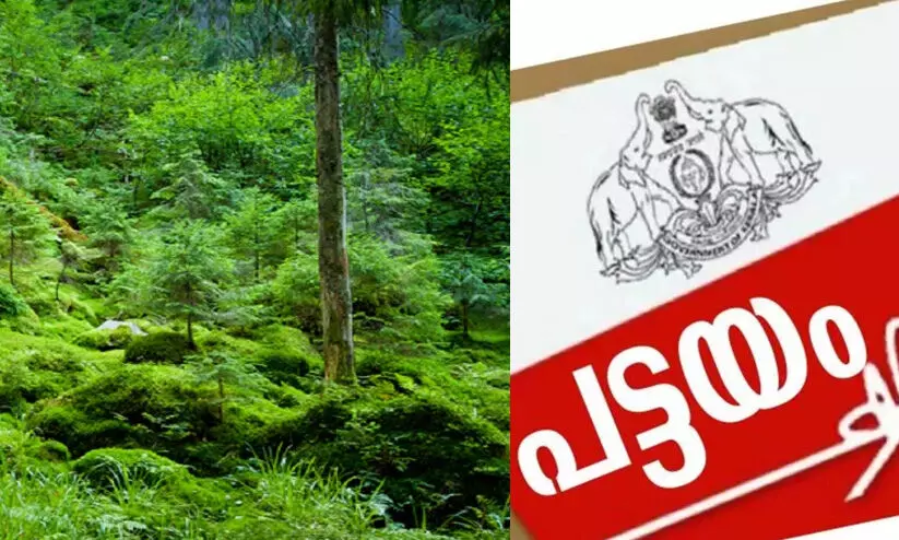 1977 ന് മുമ്പ് വനംഭൂമിയിൽ കുടിയേറിയ 41,082 പേർക്ക് പട്ടയം നൽകാനുണ്ടെന്ന് റിപ്പോർട്ട്