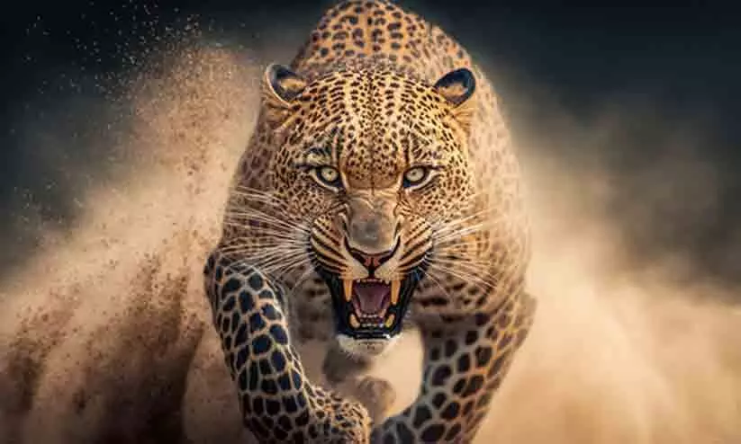 Representational image