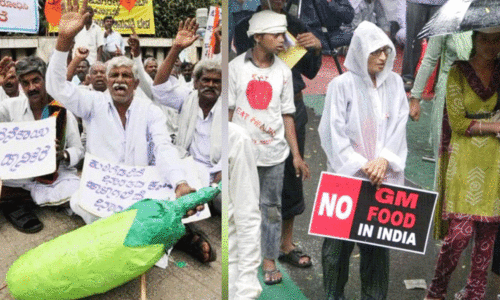 ജി.എം വിളകൾ; ദുരന്തത്തെ നട്ടുവളർത്തരുത്