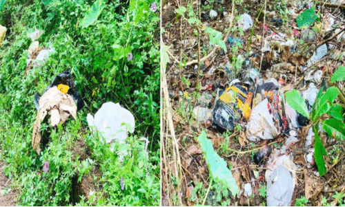 അശാസ്ത്രീയ മാലിന്യ സംസ്കരണം; 15,000 രൂപ പിഴചുമത്തി അശാസ്ത്രീയ മാലിന്യ സംസ്കരണം; 15,000 രൂപ പിഴചുമത്തി