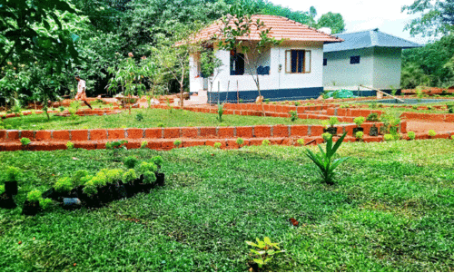 ജി​ല്ല​യി​ലെ ആ​ദ്യ​ത്തെ ന​ഗ​ര​വ​നം ഇ​രി​ട്ടി​യി​ൽ