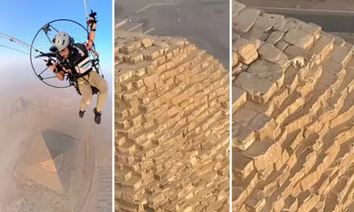 പിരമിഡിന് മുകളിൽ അലയുന്ന നായ; പാരാഗ്ലൈഡർ പകർത്തിയ ദൃശ്യങ്ങൾ വൈറൽ