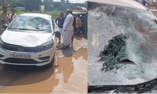 മരണത്തിലും വേർപിരിയാതെ ഇ​സാ​മും റോഷനും