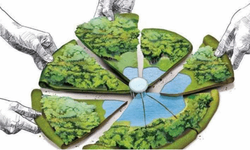 ടൂറിസം മേഖലകൾ കൈയടക്കി വമ്പൻമാർ; പരുന്തുംപാറയിൽ വൻ റവന്യൂഭൂമി കൈയേറ്റം