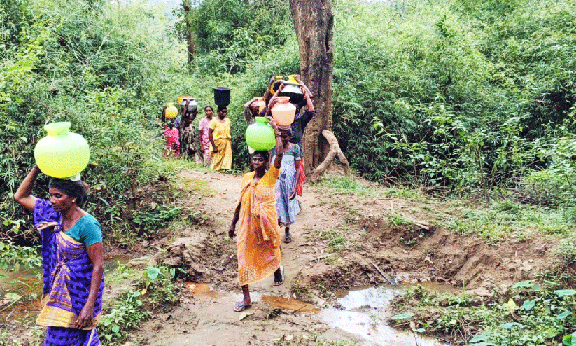 കു​ടി​വെ​ള്ള​മി​ല്ല; കാ​ട് താ​ണ്ടി താ​ഴെ​ശ്ശേ​രി​യി​ലെ ആ​ദി​വാ​സി​ക​ൾ