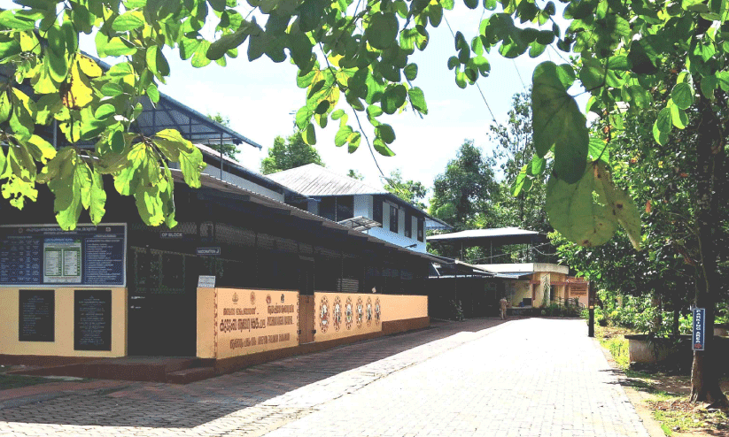 Mambra family health center