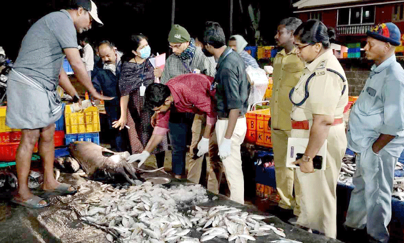 തുറക്കുളം മാര്‍ക്കറ്റില്‍ പഴകിയ മത്സ്യം പിടികൂടി