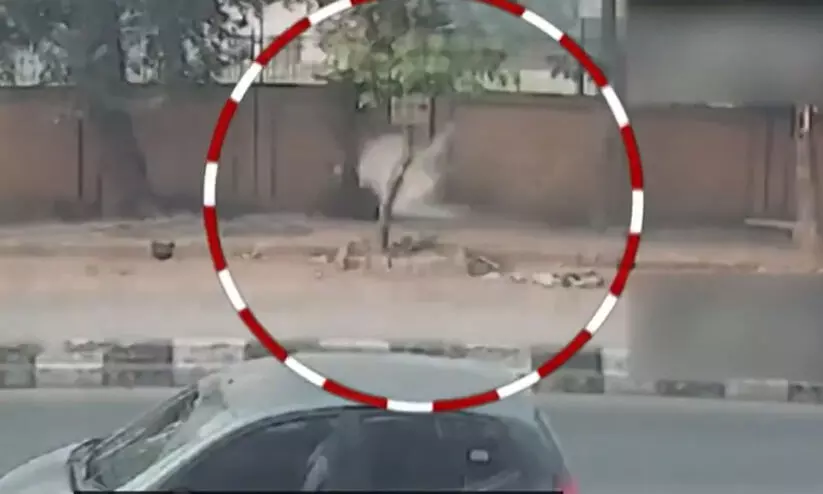 Bomb blast outside CRPF school in Delhi Bomb blast outside CRPF school in Delhi