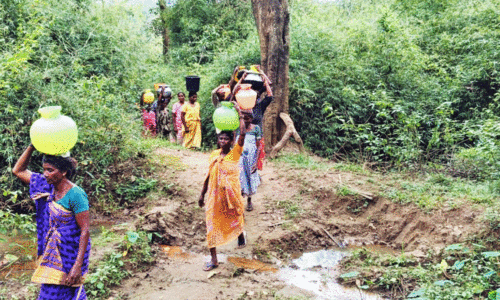 കു​ടി​വെ​ള്ള​മി​ല്ല; കാ​ട് താ​ണ്ടി താ​ഴെ​ശ്ശേ​രി​യി​ലെ ആ​ദി​വാ​സി​ക​ൾ