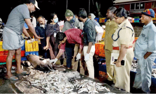 തുറക്കുളം മാര്‍ക്കറ്റില്‍ പഴകിയ മത്സ്യം പിടികൂടി