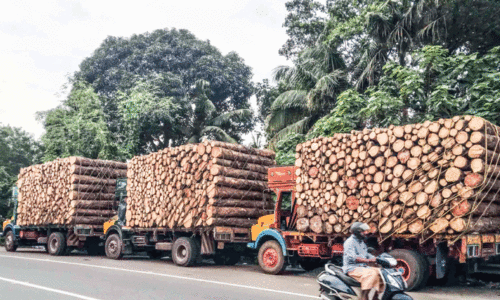 Overloaded lorries
