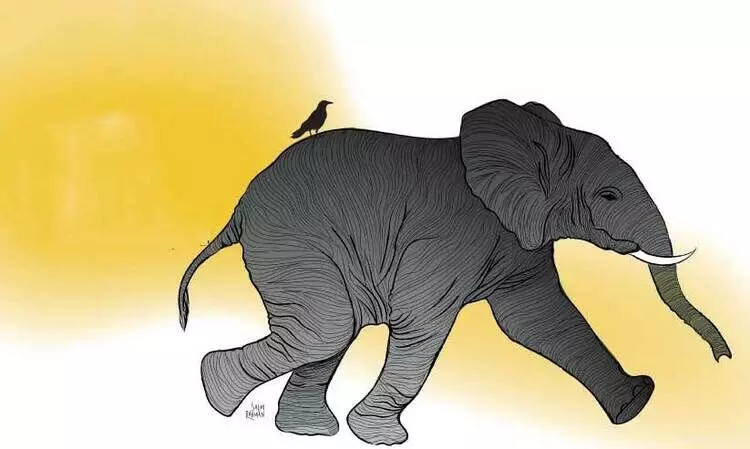 കിളികളുടെ സംസ്ഥാന   സമ്മേളനം