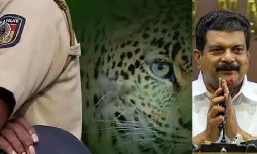 നാട്ടിൽ പൊലീസ് അതിക്രമം, കാട്ടിൽ വന്യജീവി ആക്രമണം; ജനത്തിന് എവിടേയും രക്ഷയില്ല -പി.വി. അൻവർ