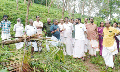 അ​ക​മ​ല​യി​ലെ വ​ന്യ​മൃ​ഗ ശ​ല്യം; വേ​ണം, അ​ടി​യ​ന്ത​ര ന​ട​പ​ടി