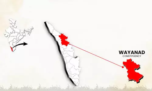 wayanad lok sabha by election
