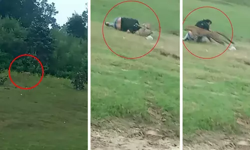 വിനോദ സഞ്ചാരികളെ പുള്ളിപ്പുലി ആക്രമിച്ചു; യുവതിക്കും യുവാവിനും ഗുരുതര പരിക്ക്, ദൃശ്യങ്ങൾ പ്രചരിക്കുന്നു VIDEO