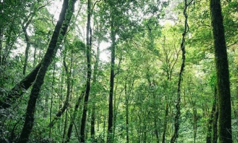 40 കോടിയുടെ വനഭൂമി തിരിച്ചുപിടിച്ചു 40 കോടിയുടെ വനഭൂമി തിരിച്ചുപിടിച്ചു