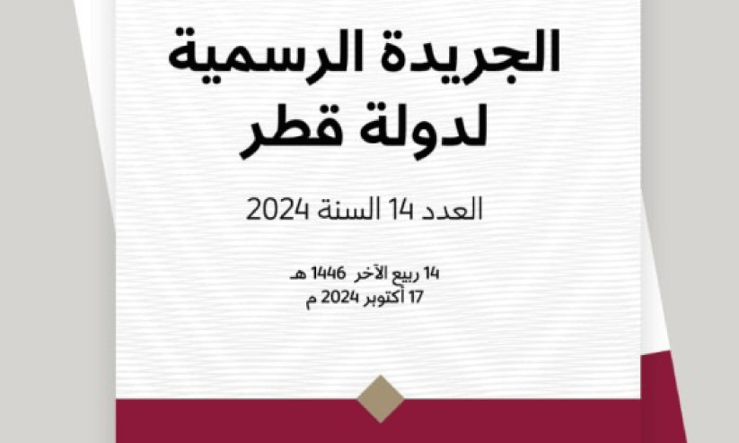 privatization privatization