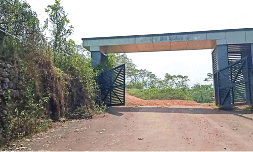 Kalikavu industrial estate