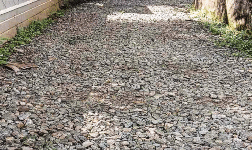 അരമുറി - വാഴശേരി റോഡിൽ കാൽനട പോലും ദുഷ്കരം