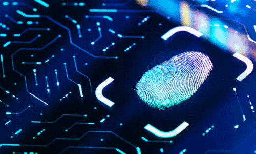 fingerprint