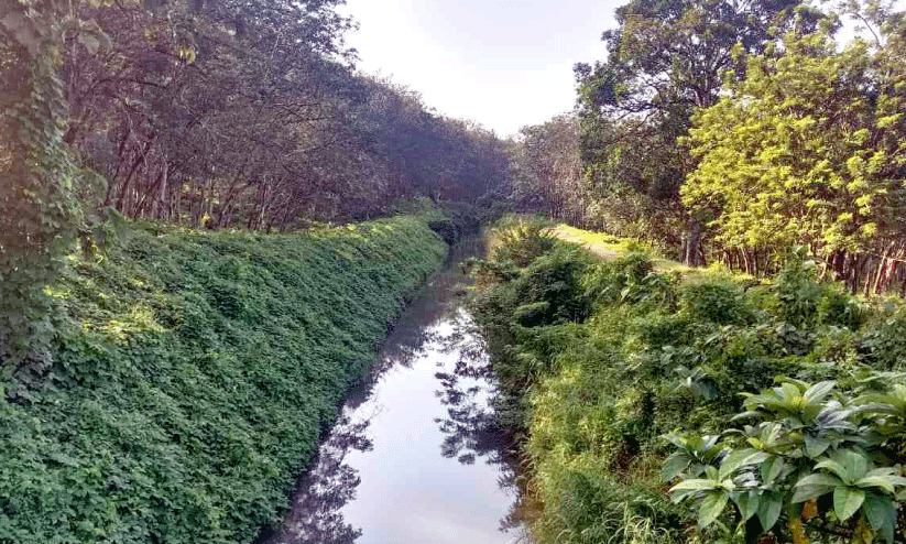 Right-Left Canals Right-Left Canals