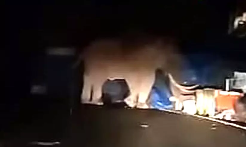 padayappa 987987 padayappa 987987