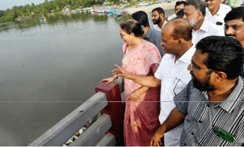 Kallayipuzha renovation