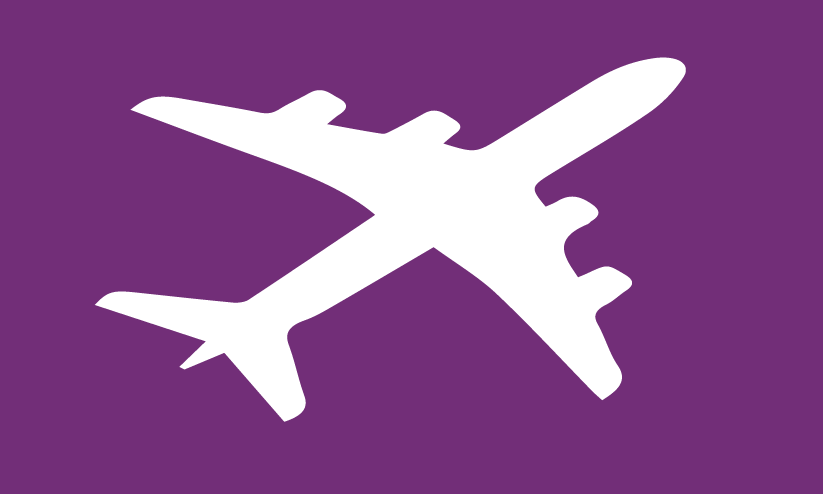 Winter flight Winter flight