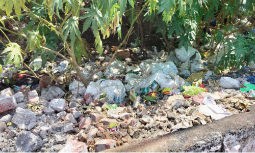 waste dumb waste dumb