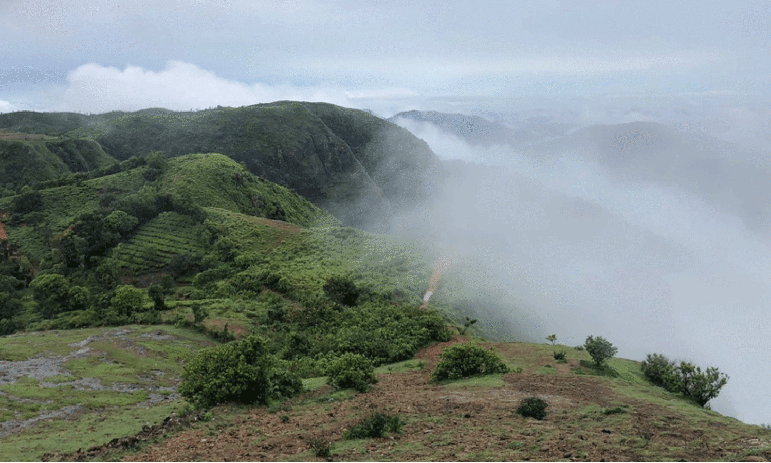 പരുന്തുംപാറ ഭൂമി കൈയേറ്റം; ഒരു മാസത്തിനകം അന്വേഷണ റിപ്പോർട്ട് സമർപ്പിക്കാൻ നി‍ർദേശം