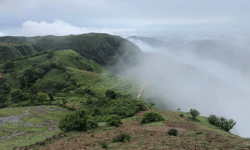 പരുന്തുംപാറ ഭൂമി കൈയേറ്റം; ഒരു മാസത്തിനകം അന്വേഷണ റിപ്പോർട്ട് സമർപ്പിക്കാൻ നി‍ർദേശം