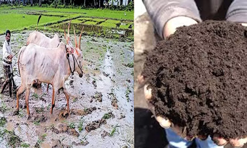 ജൈവവളം വിതരണം: കൃഷിഭവനുകൾ മാർഗ നിർദേശങ്ങൾ അട്ടിമറിച്ചുവെന്ന് റിപ്പോർട്ട്