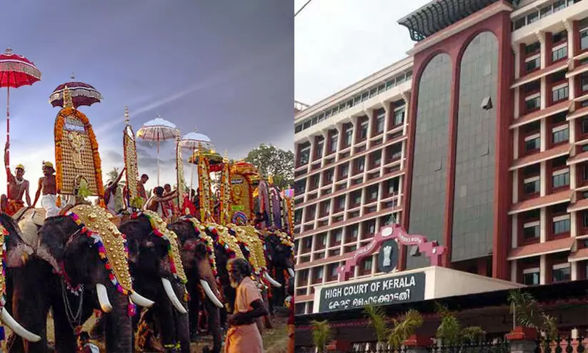 തിമിംഗലം കരയിലെ ജീവി അല്ലാത്തതിന് ദൈവത്തിന് നന്ദി- ഹൈക്കോടതി തിമിംഗലം കരയിലെ ജീവി അല്ലാത്തതിന് ദൈവത്തിന് നന്ദി- ഹൈക്കോടതി