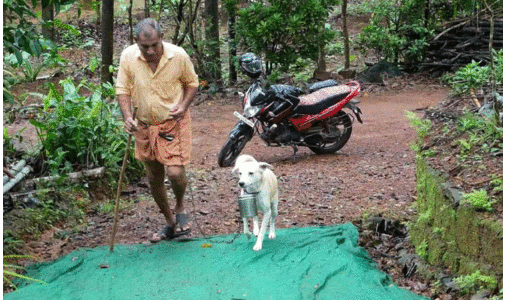 jimmy and kumarettan