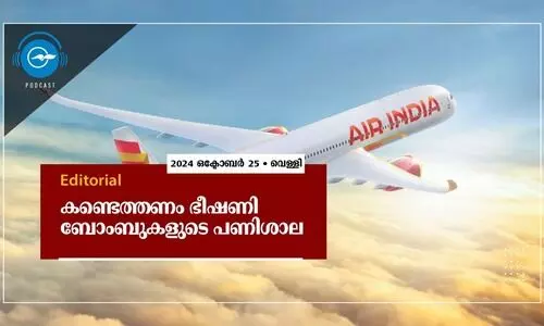 Bomb Threats, Flight service