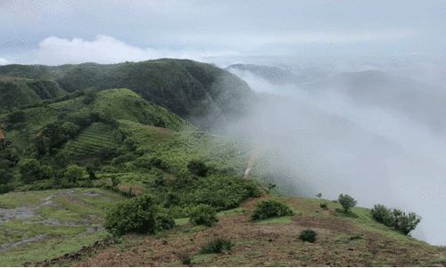 പരുന്തുംപാറ ഭൂമി കൈയേറ്റം; ഒരു മാസത്തിനകം അന്വേഷണ റിപ്പോർട്ട് സമർപ്പിക്കാൻ നി‍ർദേശം
