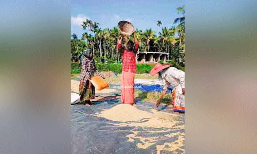 kasargod news kasargod news