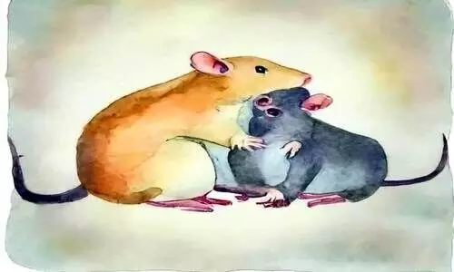 മൂഷികപുരാണം