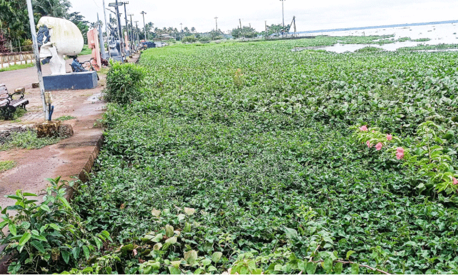 vaikom backwater beach