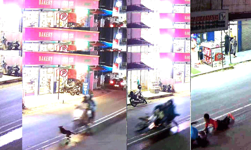 തെരുവുനായ് ശല്യം: സംസ്ഥാനപാതയിൽ അപകടം പതിവ് തെരുവുനായ് ശല്യം: സംസ്ഥാനപാതയിൽ അപകടം പതിവ്