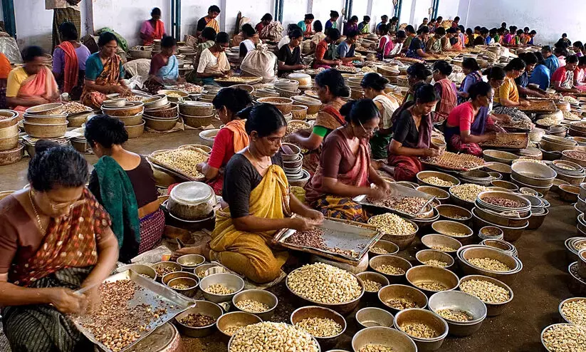 കശുവണ്ടി വ്യവസായികളും തൊഴിലാളികളും നാളെ മുതൽ അനിശ്ചിതകാല സത്യാഗ്രഹത്തിൽ കശുവണ്ടി വ്യവസായികളും തൊഴിലാളികളും നാളെ മുതൽ അനിശ്ചിതകാല സത്യാഗ്രഹത്തിൽ