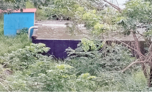 ശുചിമുറി മാലിന്യം പരന്നൊഴുകുന്നു; മെഡി. കോളജ് കാമ്പസിൽ ആശങ്ക