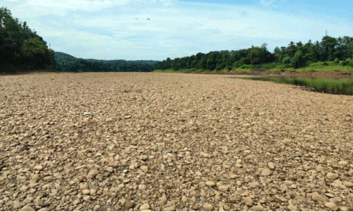 പഴശ്ശി ഷട്ടർ അടച്ചില്ല; ഇരിട്ടി പുഴയിൽ ജലവിതാനം കുറഞ്ഞു