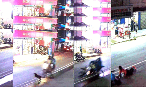 തെരുവുനായ് ശല്യം: സംസ്ഥാനപാതയിൽ അപകടം പതിവ് തെരുവുനായ് ശല്യം: സംസ്ഥാനപാതയിൽ അപകടം പതിവ്